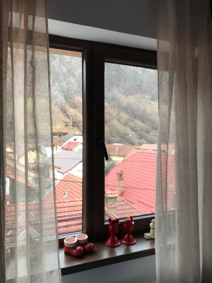 Casa Mountain View Villa Brasov Luaran gambar